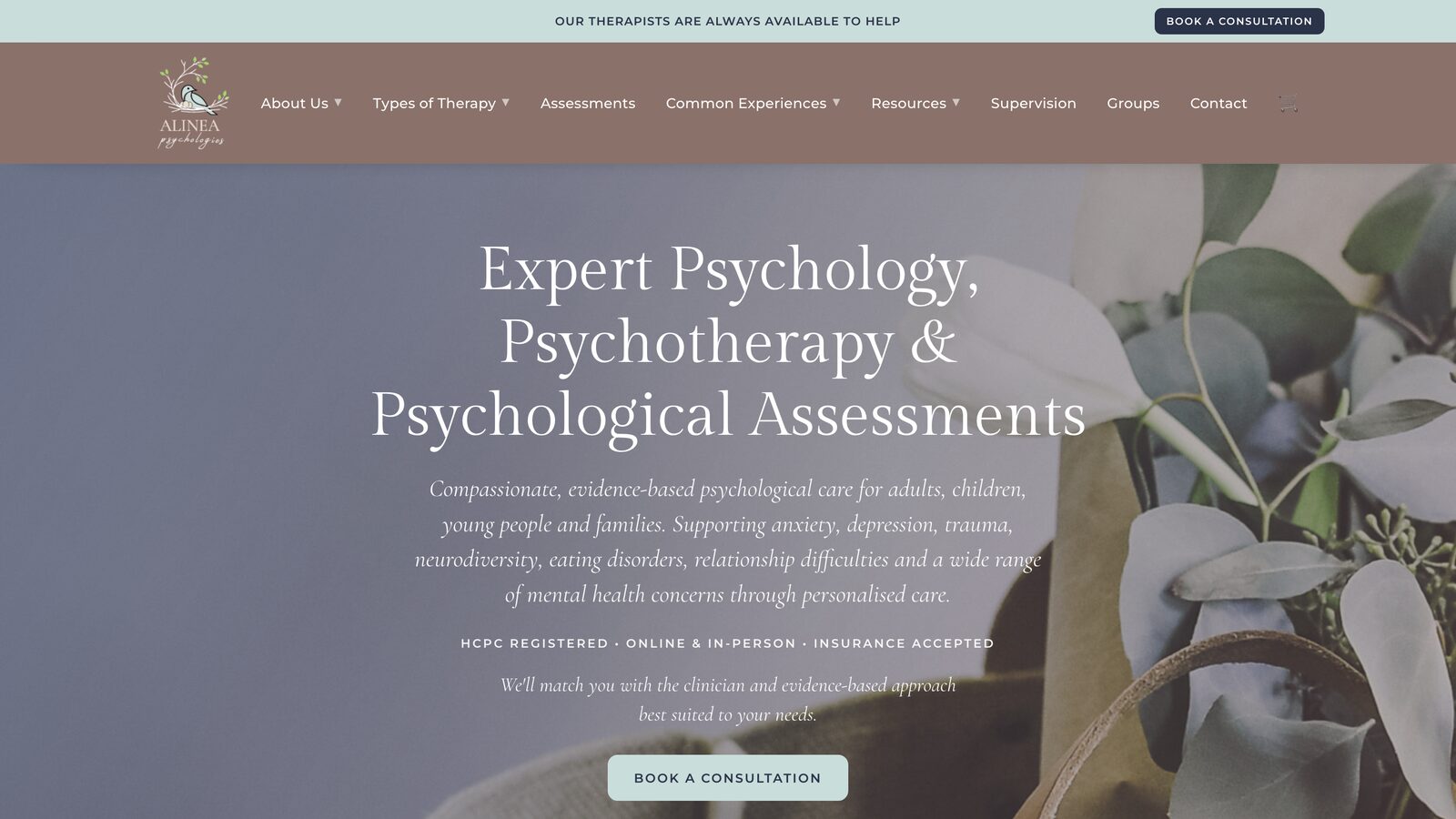 Alinea Psychologies preview